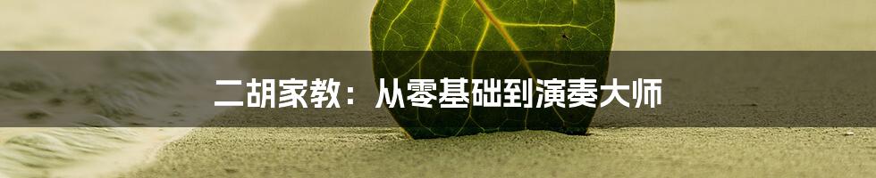二胡家教：从零基础到演奏大师