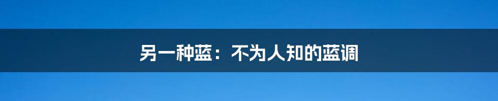 另一种蓝:不为人知的蓝调