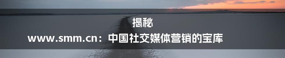 揭秘 www.smm.cn:中国社交媒体营销的宝库