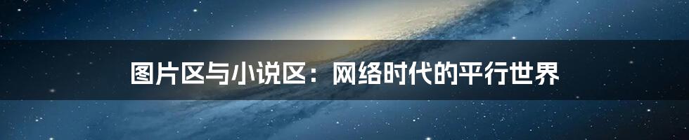 图片区与小说区:网络时代的平行世界