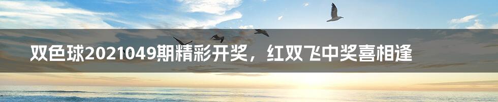 双色球2021049期精彩开奖,红双飞中奖喜相逢