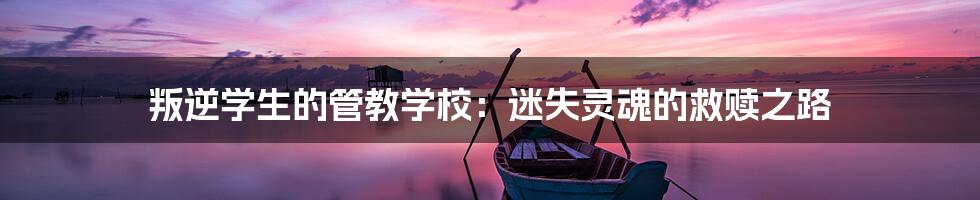 叛逆学生的管教学校：迷失灵魂的救赎之路