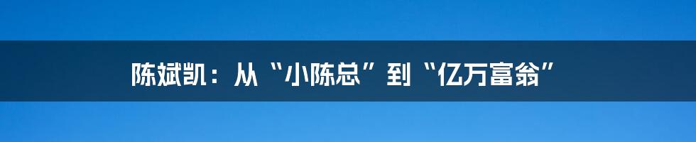 陈斌凯：从“小陈总”到“亿万富翁”