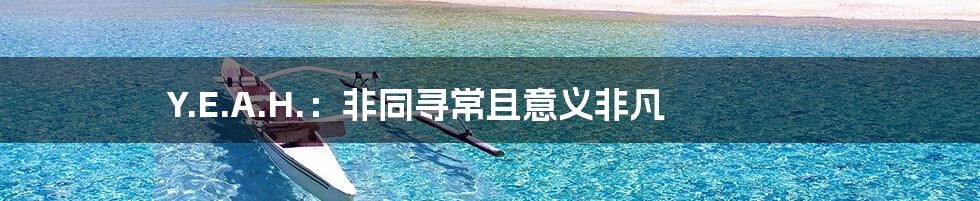 Y.E.A.H.:非同寻常且意义非凡
