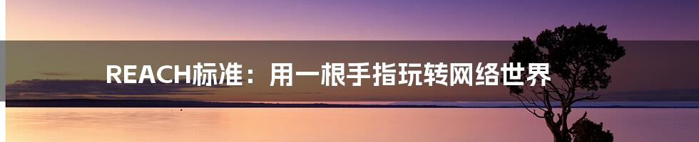REACH标准:用一根手指玩转网络世界