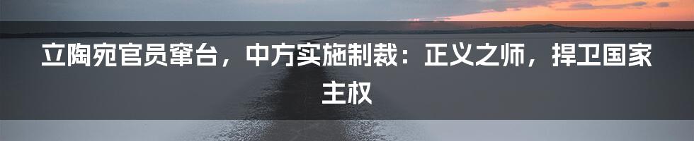 立陶宛官员窜台,中方实施制裁:正义之师,捍卫国家主权