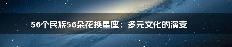 56个民族56朵花换星座:多元文化的演变