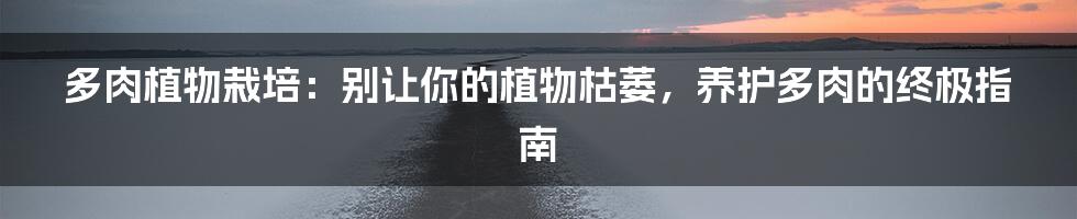 多肉植物栽培:别让你的植物枯萎,养护多肉的终极指南