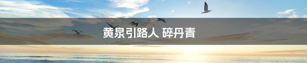 黄泉引路人 碎丹青