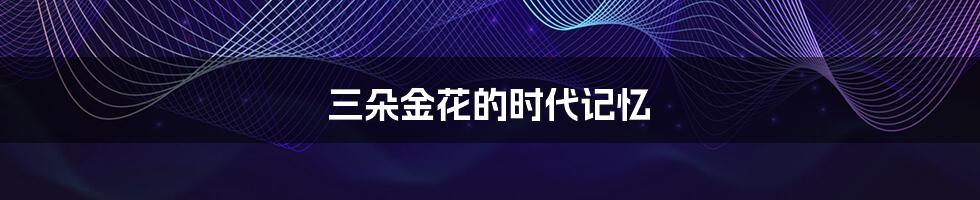 三朵金花的时代记忆