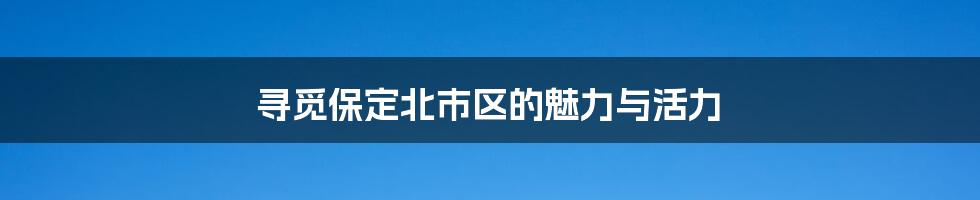 寻觅保定北市区的魅力与活力