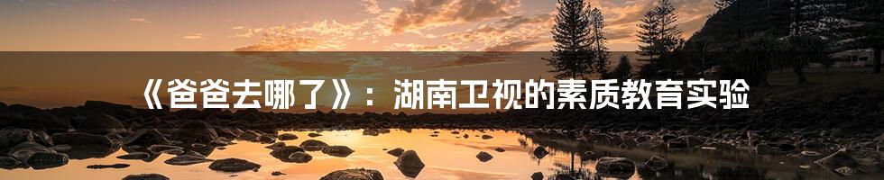 《爸爸去哪了》:湖南卫视的素质教育实验