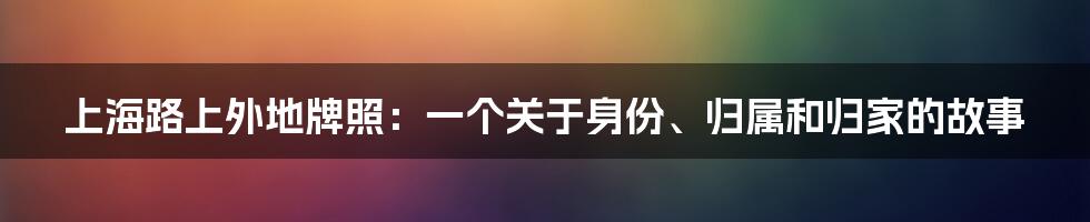 上海路上外地牌照:一个关于身份、归属和归家的故事
