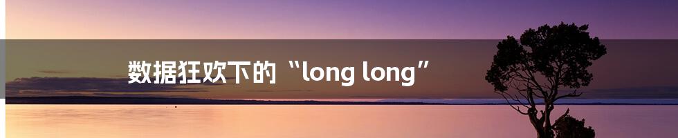 数据狂欢下的“long long”