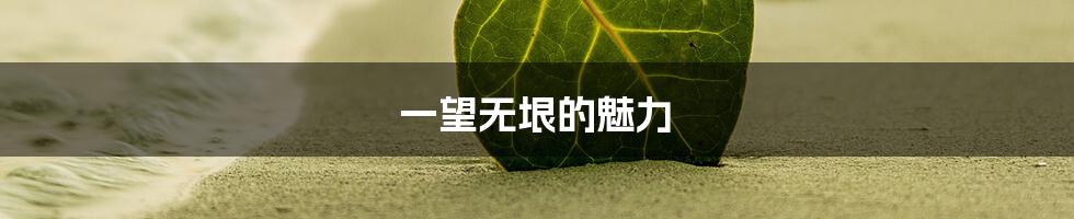 一望无垠的魅力