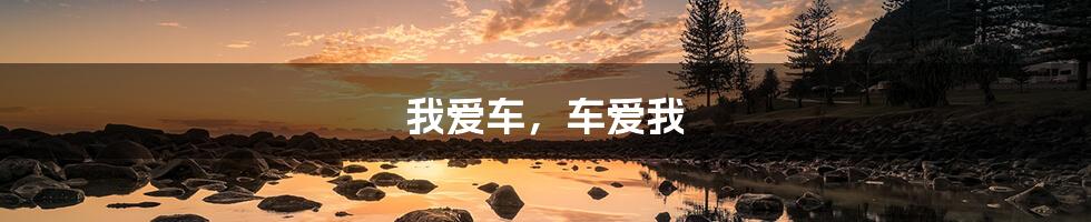 我爱车,车爱我