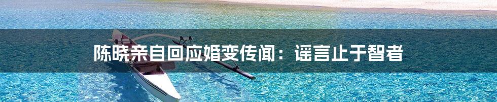 陈晓亲自回应婚变传闻:谣言止于智者