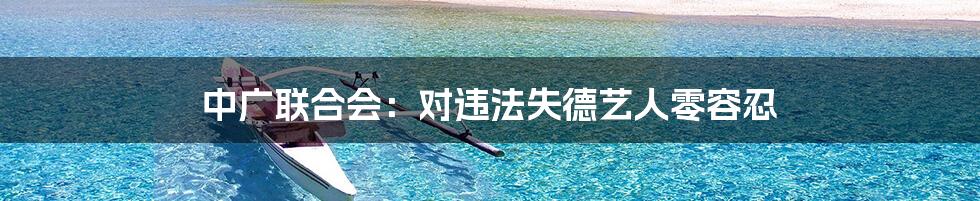 中广联合会:对违法失德艺人零容忍