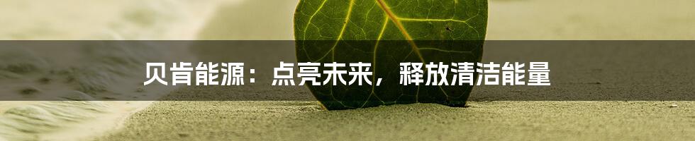 贝肯能源：点亮未来，释放清洁能量
