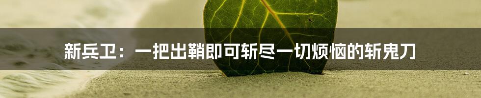新兵卫:一把出鞘即可斩尽一切烦恼的斩鬼刀