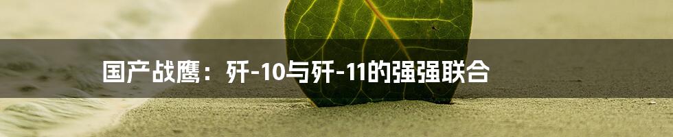 国产战鹰:歼-10与歼-11的强强联合