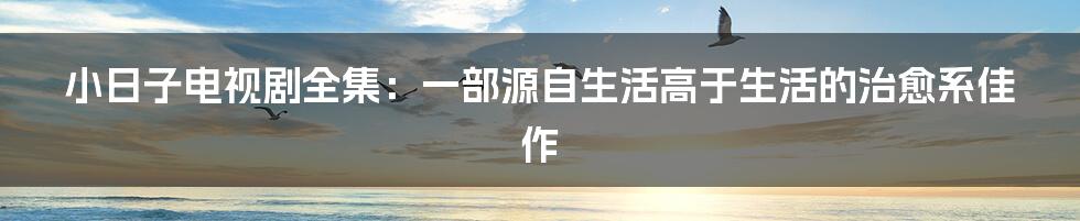 小日子电视剧全集:一部源自生活高于生活的治愈系佳作