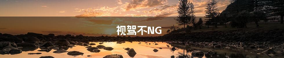 视驾不NG