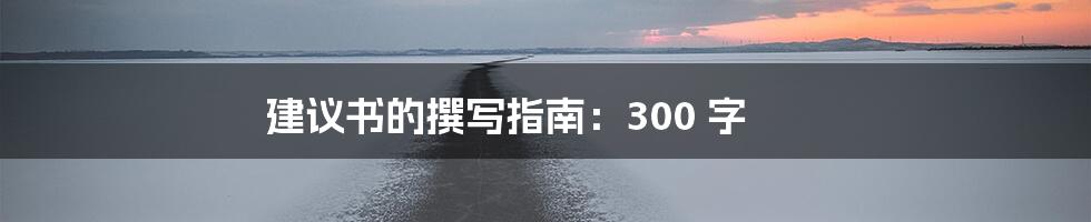 建议书的撰写指南:300 字