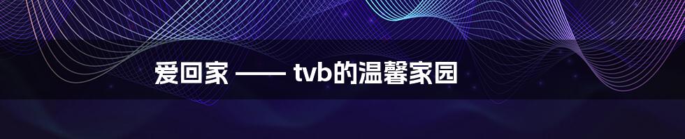 爱回家 —— tvb的温馨家园