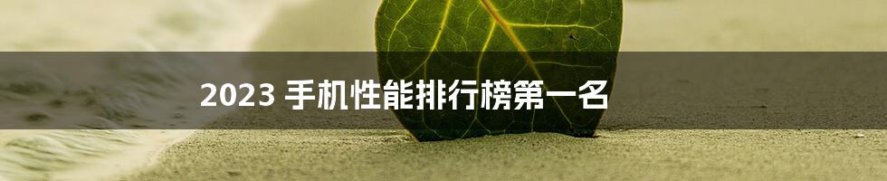 2023 手机性能排行榜第一名