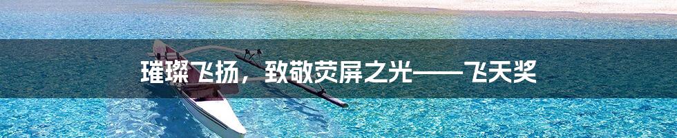 璀璨飞扬,致敬荧屏之光——飞天奖