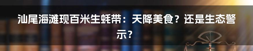 汕尾海滩现百米生蚝带:天降美食?还是生态警示?