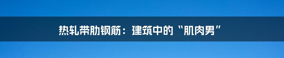 热轧带肋钢筋：建筑中的“肌肉男”