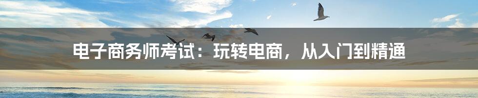 电子商务师考试:玩转电商,从入门到精通