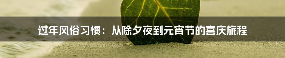过年风俗习惯:从除夕夜到元宵节的喜庆旅程