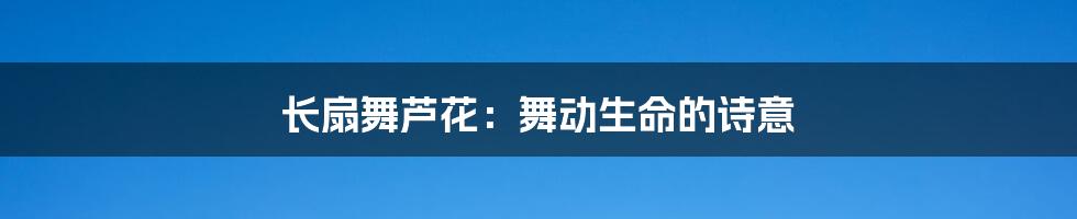 长扇舞芦花:舞动生命的诗意