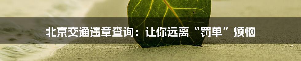 北京交通违章查询：让你远离“罚单”烦恼