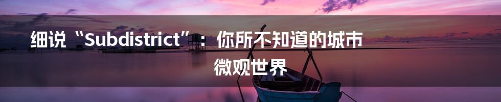 细说“Subdistrict”:你所不知道的城市微观世界