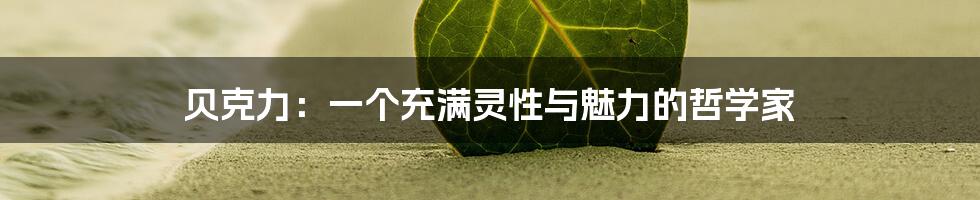 贝克力:一个充满灵性与魅力的哲学家