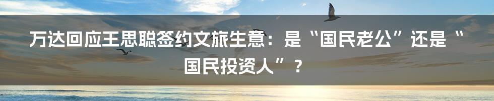 万达回应王思聪签约文旅生意:是“国民老公”还是“国民投资人”?
