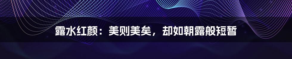 露水红颜:美则美矣,却如朝露般短暂
