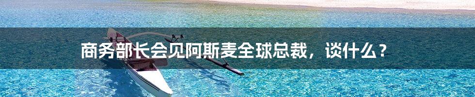 商务部长会见阿斯麦全球总裁，谈什么？