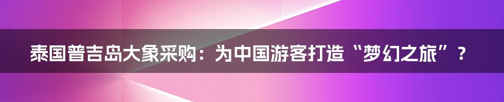 泰国普吉岛大象采购：为中国游客打造“梦幻之旅”？
