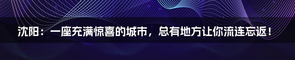 沈阳：一座充满惊喜的城市，总有地方让你流连忘返！