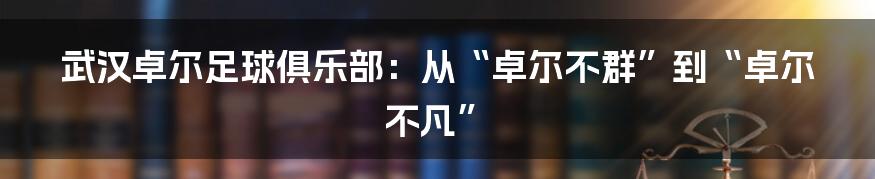 武汉卓尔足球俱乐部:从“卓尔不群”到“卓尔不凡”