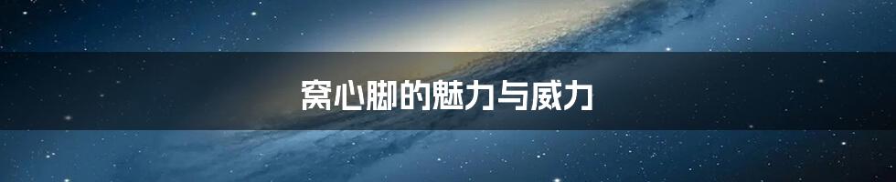 窝心脚的魅力与威力