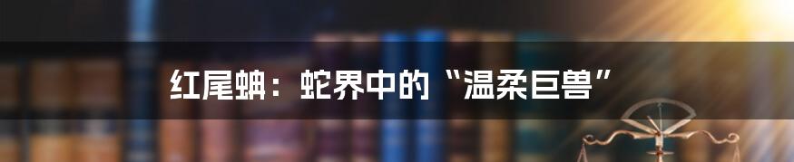 红尾蚺：蛇界中的“温柔巨兽”