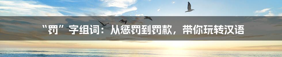 “罚”字组词:从惩罚到罚款,带你玩转汉语