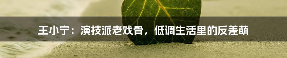王小宁:演技派老戏骨,低调生活里的反差萌