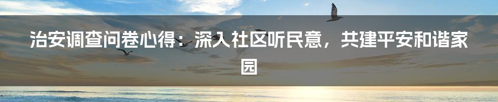 治安调查问卷心得:深入社区听民意,共建平安和谐家园